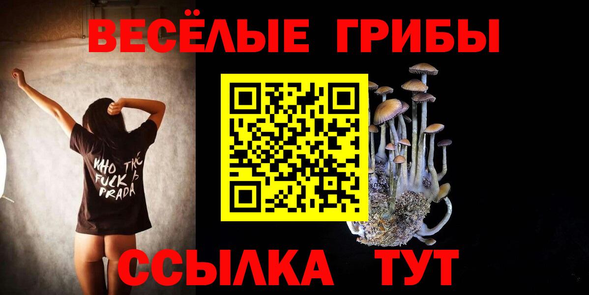 Псилоцибиновые грибы мухоморы Мариинск
