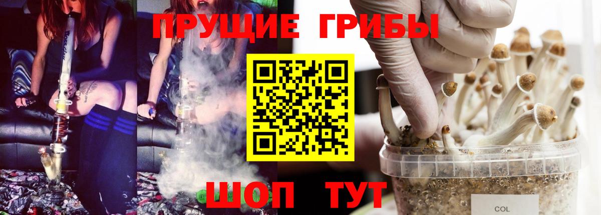 Мариинск  Галлюциногенные грибы Magic Shrooms  Вход с VPN 